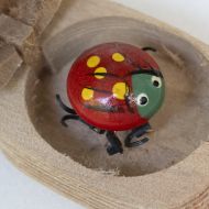 Paula Forjan   Dieses Glück Fliegt Nicht Weg